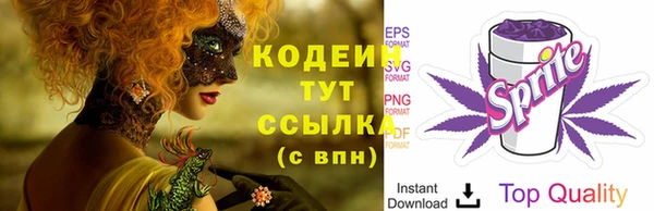 амфетамин Белокуриха