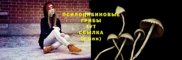 амфетамин Белокуриха