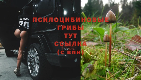 COCAINE Белоозёрский