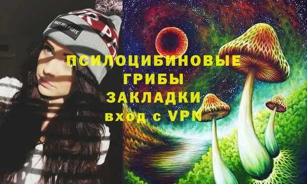 амфетамин Белокуриха
